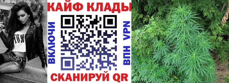 Наркошоп купить Псилоцибиновые грибы  Каннабис  МЕФ  Гашиш  Светлоград