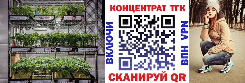 Купить  Светлоград  Дистиллят ТГК концентрат 
