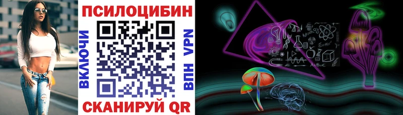 Галлюциногенные грибы Psilocybine cubensis  Купить где  Светлоград 