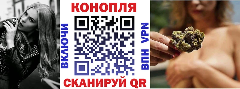 Конопля семена  Купить где  Светлоград 